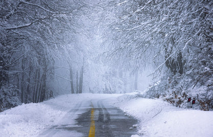 Snow Covered Road Photograph Print 100% Australian Made
