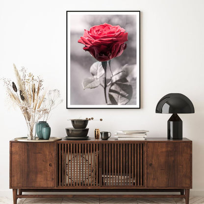 Rose Flower Red B&W Photograph Home Decor Premium Quality Poster Print Choose Your Sizes