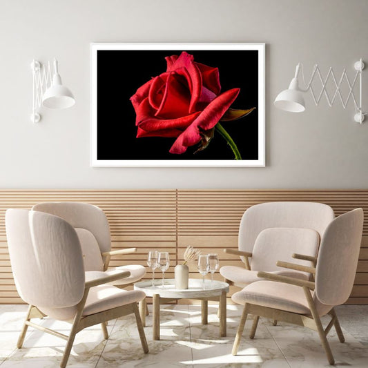Rose Flower Macro Photograph Home Decor Premium Quality Poster Print Choose Your Sizes