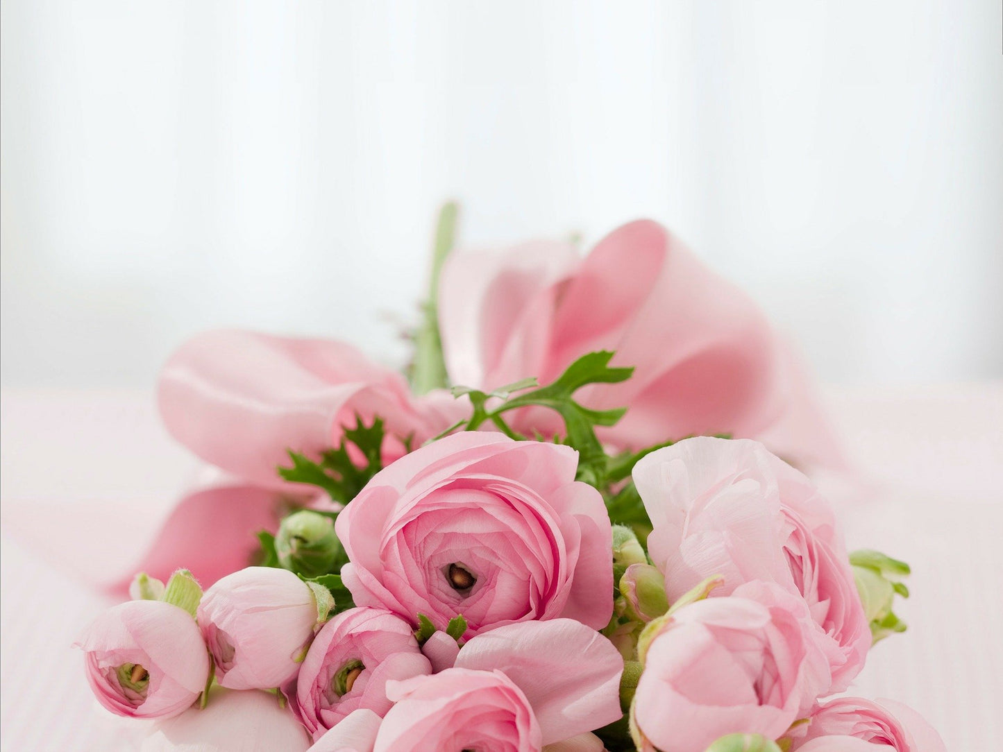 Rose Flowers Bunuch Photograph Home Decor Premium Quality Poster Print Choose Your Sizes