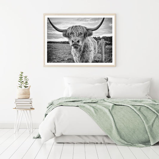 Highland Cow Portrait Photograph Home Decor Premium Quality Poster Print Choose Your Sizes