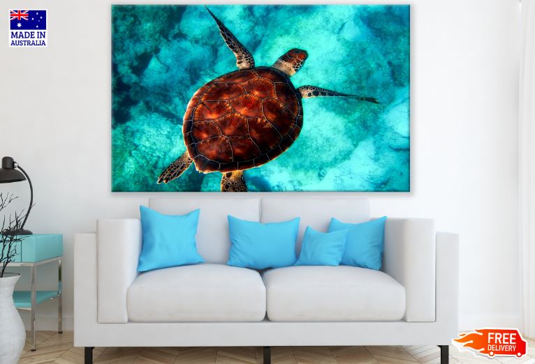 Turtle in Beach Photograph Print 100% Australian Made