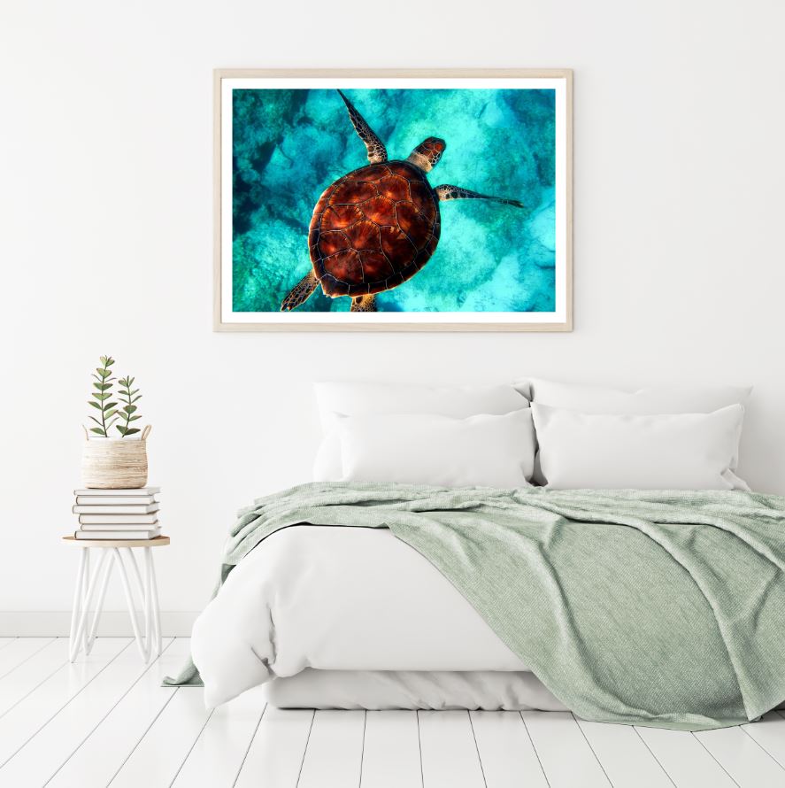 Turtle in Sea Aerial Photograph Home Decor Premium Quality Poster Print Choose Your Sizes