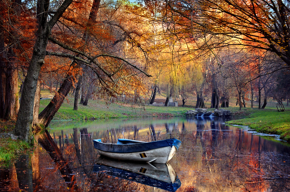 Boat on Lake in Autumn Forest Photograph Print 100% Australian Made