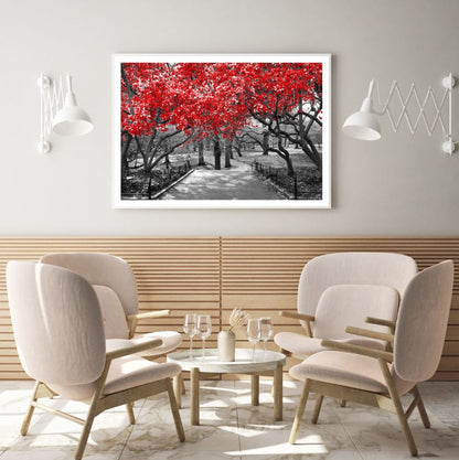 Red Leaves Tree Park B&W Photograph Home Decor Premium Quality Poster Print Choose Your Sizes