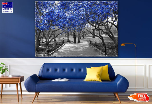 B&W Tree Forest with Blue Leaves Photograph Print 100% Australian Made