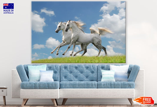 White Horses Running on Meadow Photograph Print 100% Australian Made