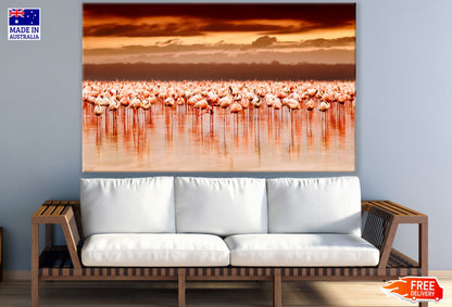 Flamingos in a Lake Photograph Print 100% Australian Made