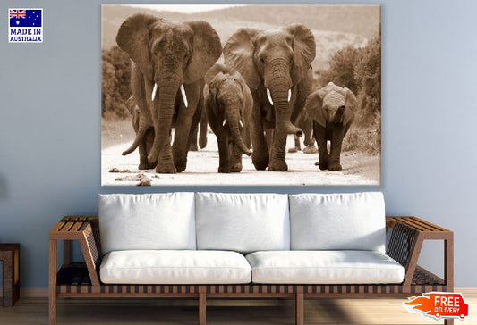 Elephants Walking On Road Vintage Photograph Print 100% Australian Made