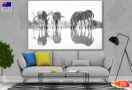 Zebras Near Lake B&W Photograph Print 100% Australian Made