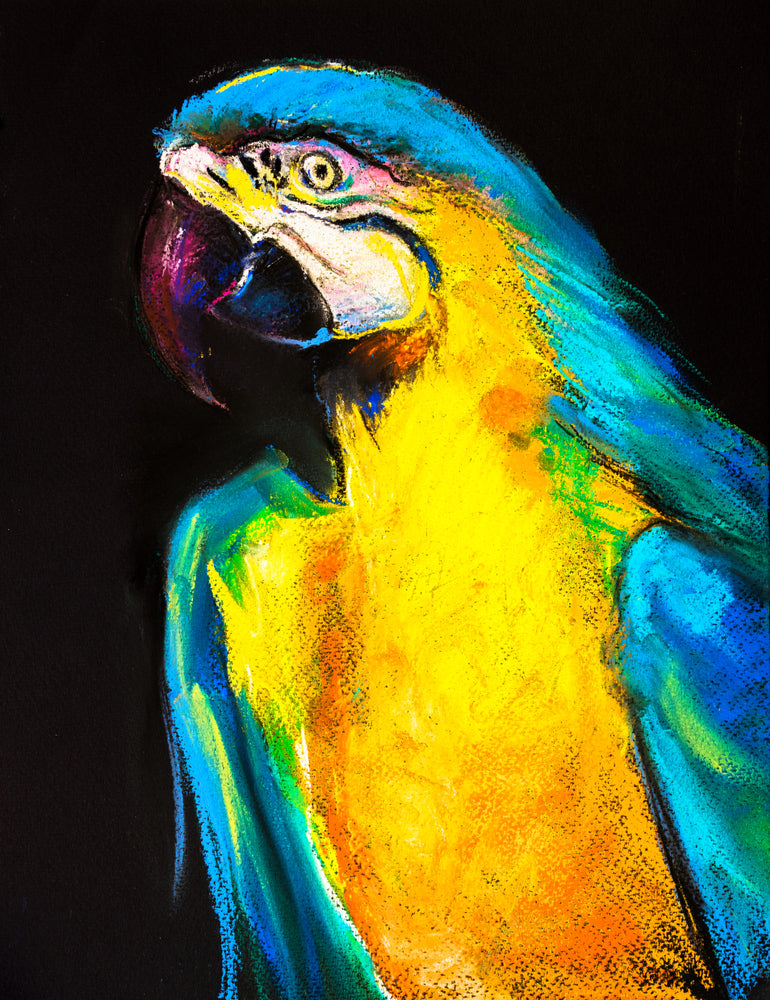 Parrot Portrait Oil Painting Print 100% Australian Made