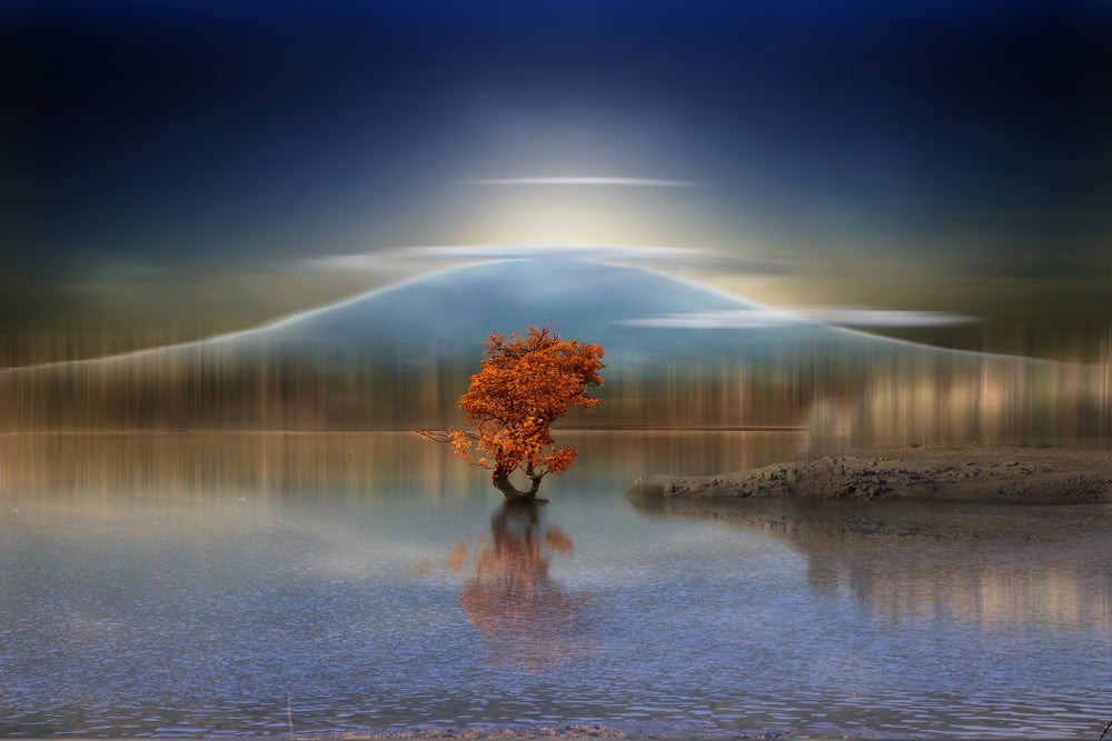 Tree in a Lake & Mountain View Photograph Print 100% Australian Made