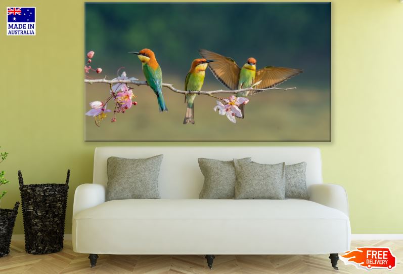 Birds Sitting on Blossom Tree Photograph Print 100% Australian Made