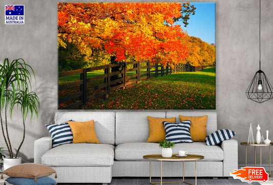 Autumn Forest & Fence Photograph Print 100% Australian Made