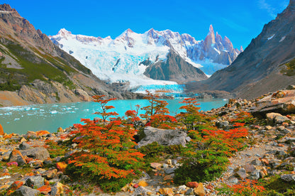 Autumn Trees by the Lake near Cerro Torre Mountain Argentina Print 100% Australian Made