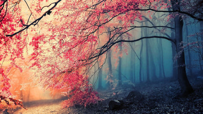 Flowers Trees & Misty Forest Photograph Print 100% Australian Made