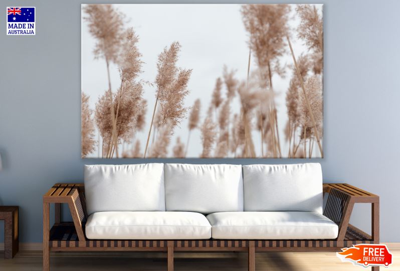 Dry Grass Closeup Photograph Print 100% Australian Made