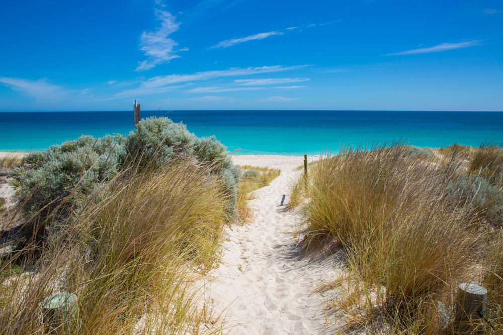 Road to Beach Print 100% Australian Made