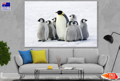 Penguins on Snow Photograph Print 100% Australian Made