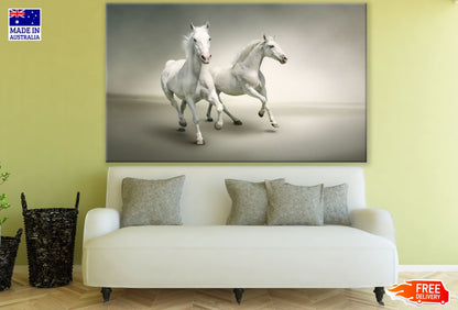 Running White Horses Photograph Print 100% Australian Made