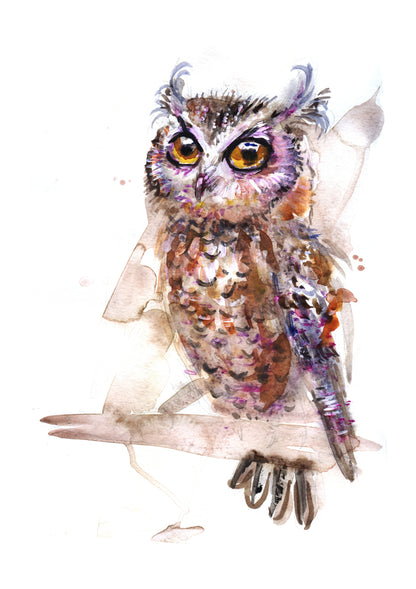 Owl Portrait Watercolour Painting Print 100% Australian Made