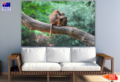 Monkeys on a Tree Branch Photograph Print 100% Australian Made