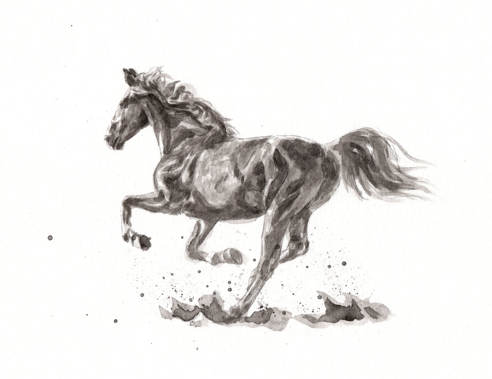 Running Horse B&W Painting Print 100% Australian Made