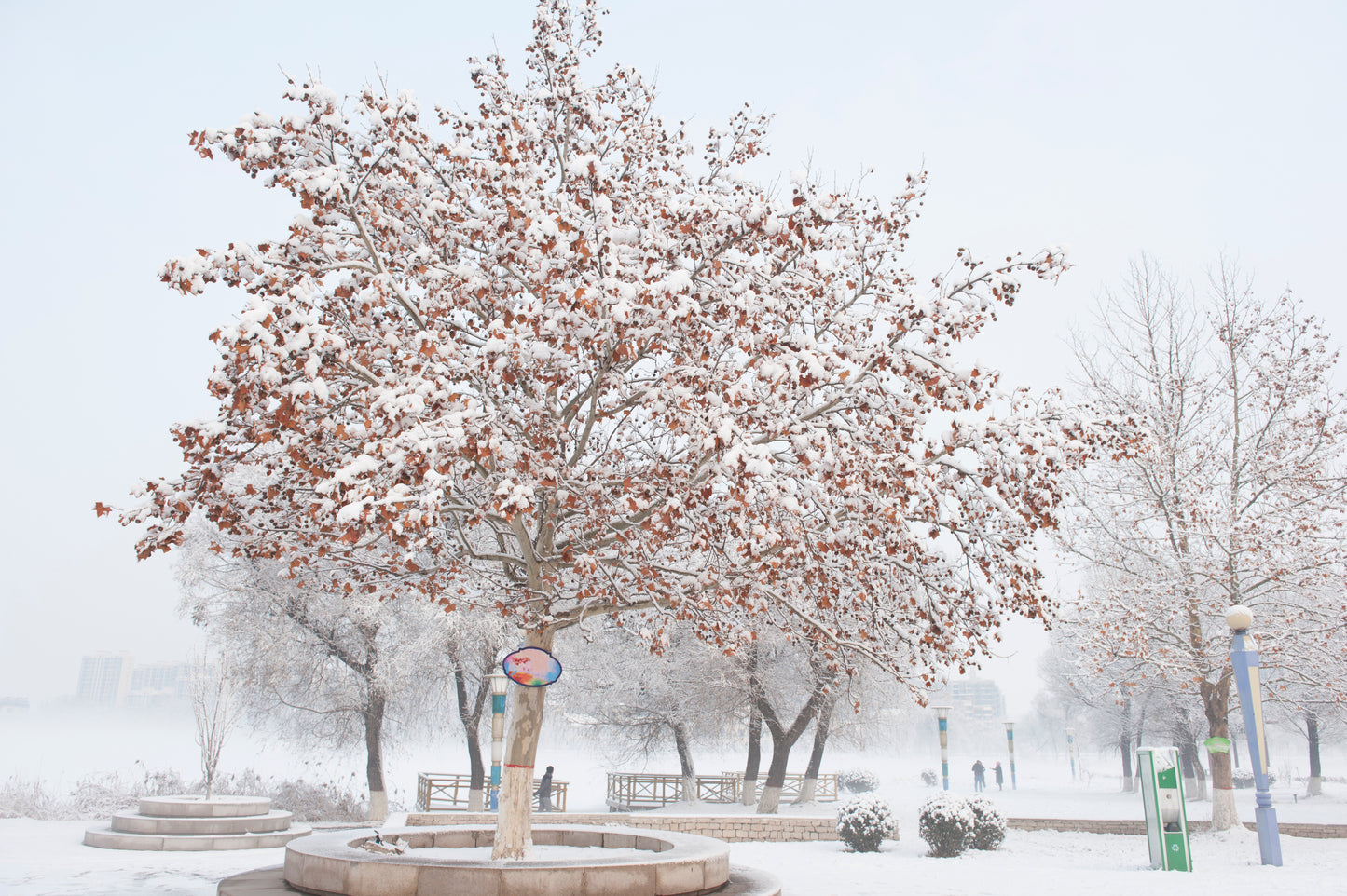 Snow Covered Park Photograph Print 100% Australian Made