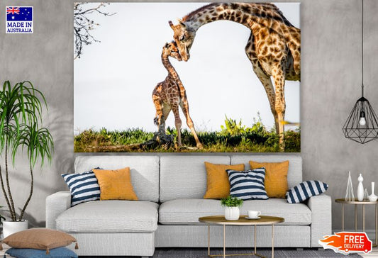 Giraffe & Calf Watercolor Painting Print 100% Australian Made