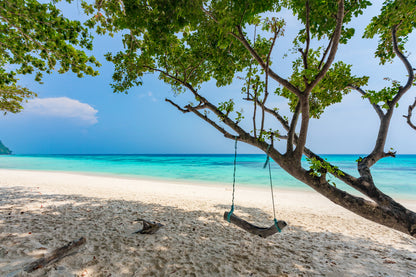 Swing & Tree on Beach Photograph Print 100% Australian Made