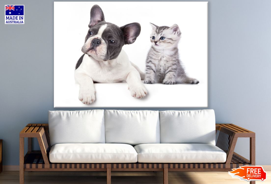 Puppy & Kitten Closeup Photograph Print 100% Australian Made