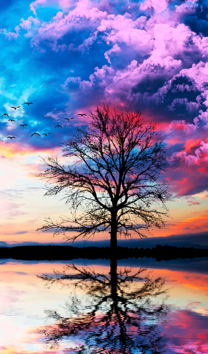 Tree in A Lake with Colourful Clouds Print 100% Australian Made