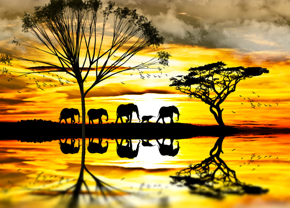 Elephants Walking Near Lake Paint Home Decor Premium Quality Poster Print Choose Your Sizes