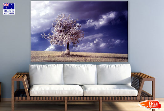 Tree in Meadow Scenery Photograph Print 100% Australian Made