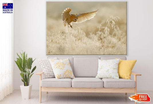Flying Owl at Sunset Photograph Print 100% Australian Made