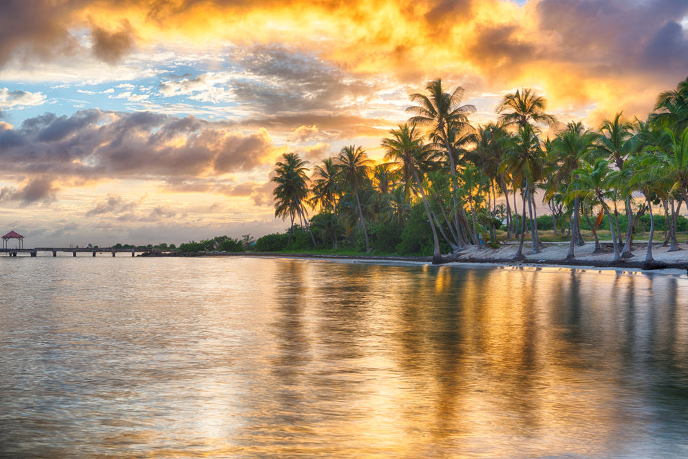 Sunset over Beach & Trees Photograph Print 100% Australian Made