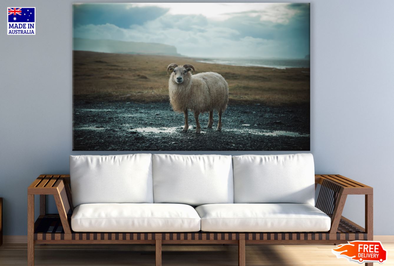 Sheep Staring Photograph View Print 100% Australian Made