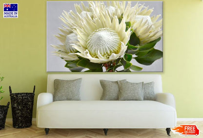 White Protea Flower Photograph Print 100% Australian Made