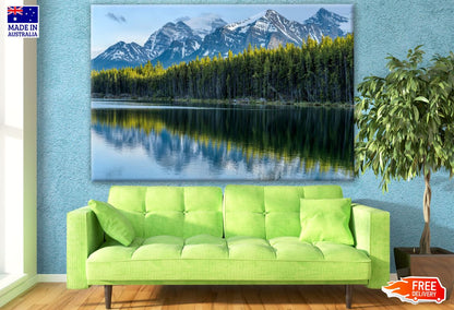 Forest near Lake Scenery Photograph Print 100% Australian Made