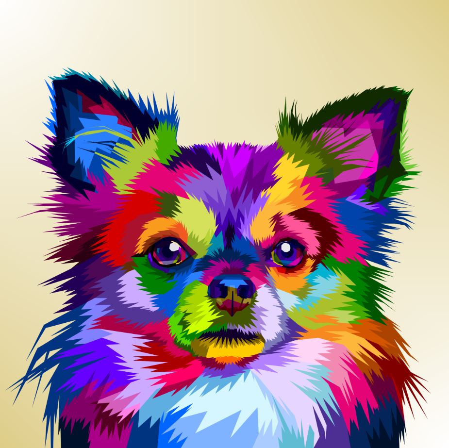 Square Canvas Abstract Pomeranian Dog Design High Quality Print 100% Australian Made