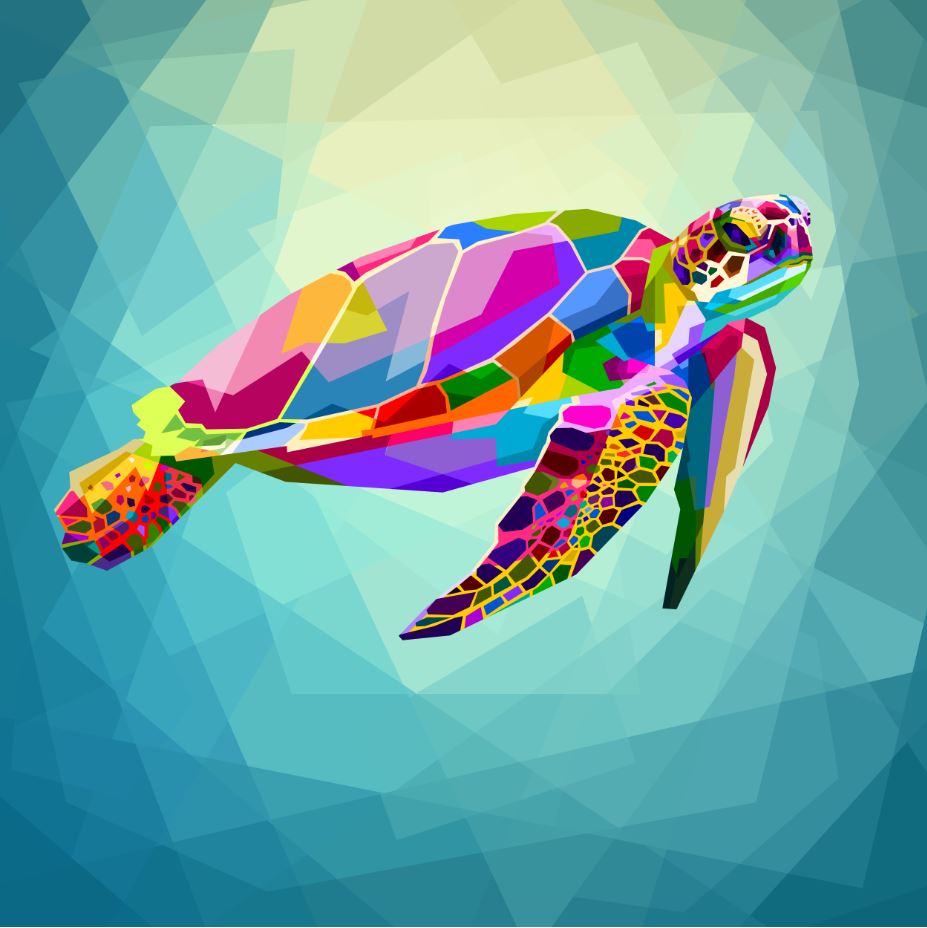 Square Canvas Colorful Abstract Turtle Design High Quality Print 100% Australian Made