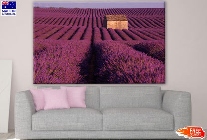 Lavender Field Scenery Photograph Print 100% Australian Made