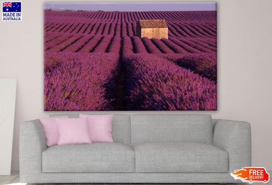 Lavender Field Scenery Photograph Print 100% Australian Made
