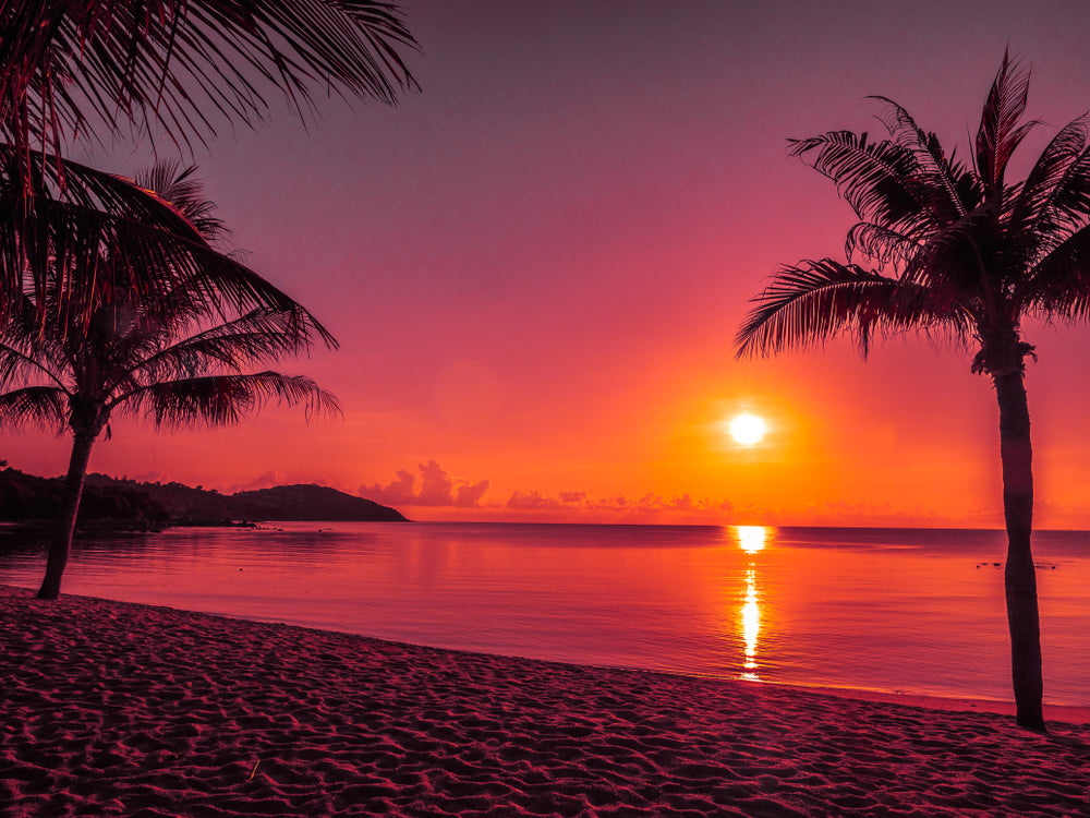 Stunning Beach & Red Sky Sunset View Photograph Print 100% Australian Made