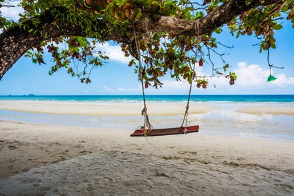 Swing on Tree Near Sea Photograph Home Decor Premium Quality Poster Print Choose Your Sizes