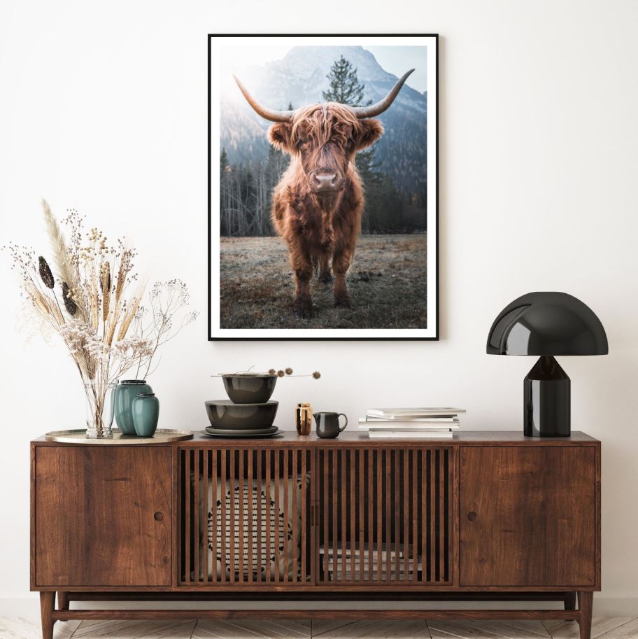Highland Cow Closeup Photograph Home Decor Premium Quality Poster Print Choose Your Sizes