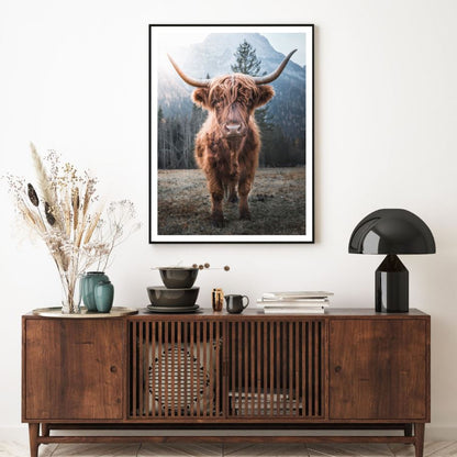 Highland Cow Closeup Photograph Home Decor Premium Quality Poster Print Choose Your Sizes