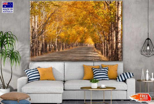 Road Between Autumn Forest Photograph Print 100% Australian Made