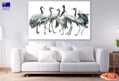 Sandhill Cranes Flock Watercolor Painting Print 100% Australian Made