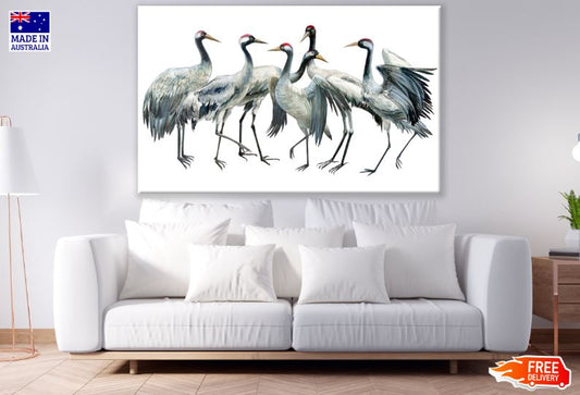 Sandhill Cranes Flock Watercolor Painting Print 100% Australian Made